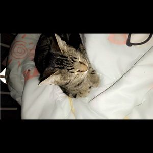 Meet your Posher, Chloe